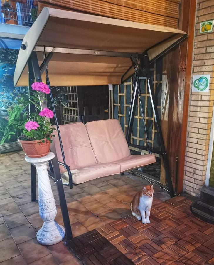 Guest House Il Limone Nascosto 로마 외부 사진