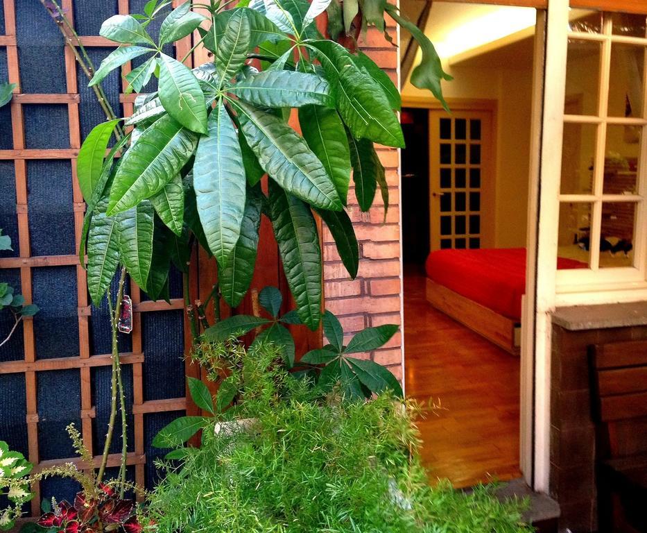 Guest House Il Limone Nascosto 로마 객실 사진